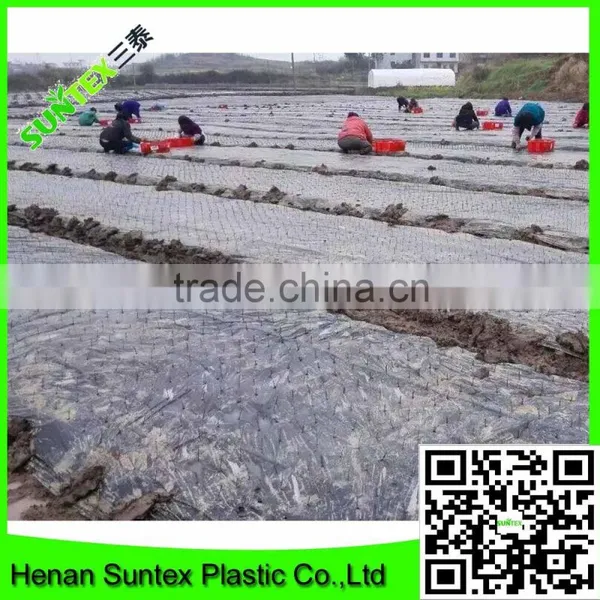 Selling Strawberry Mulch Film/silver Black Mulch Film for Prevention Grass Growth photo-6