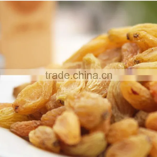 2015 New Crop Best Quality Fruit Products Dried Golden Sweet Raisin photo-2