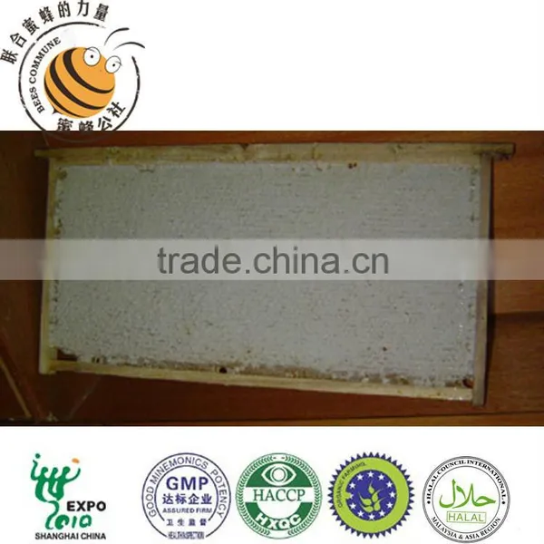 Comb Honey