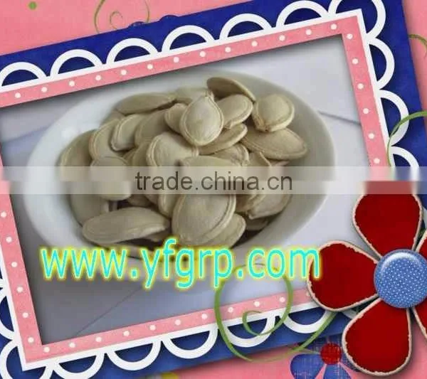 GWS Snow White Pumpkin Seeds Shine Skin Pumpkin Seeds Pumpkin Seeds With Shell Nutrition photo-3