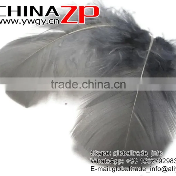 CHINAZP Hottest Plume Items Wholesale Dyed Grey Turkey T-Base Body Plumage Feathers for Decorations photo-3
