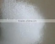 2016 Cheap and Cute Shape Foam Mini Cat Bed Pet Bed WM3 photo-4