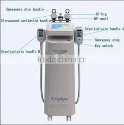 Best Sell Product Cryolipolysis Fat Freeze Loss Increasing Muscle Tone Weight Slimming Belts Machine For Spa Clinic Hospital 50 / 60Hz photo-3