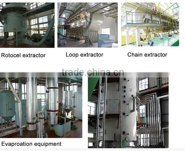 Almond Oil Extraction Machine/soya Bean Oil Extraction Machine photo-3