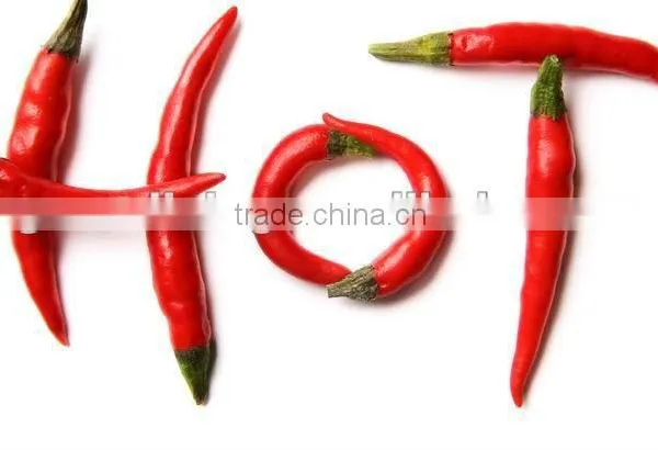 Dry Chilli/dry Hot Chilli