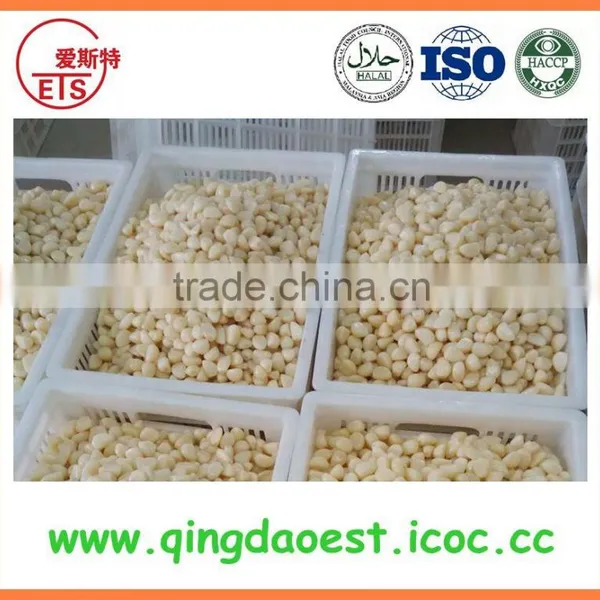 Garlic in Brine From Chinese Factory With High Quality and Competitive Price photo-3