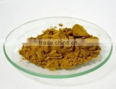 Natural Rosemary Extract 30% Carnosic Acid/Rosemary Extract Powder/Rosemary Powder photo-2