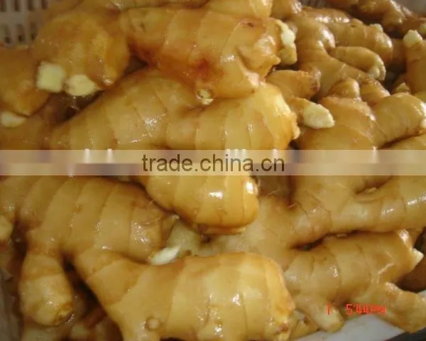 Fresh Ginger photo-3