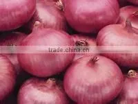 2015 New Crop Nuisanceless Organic Fresh Dehydrated Spring Onion
