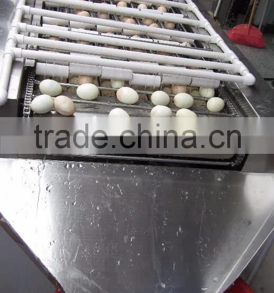FT-200 High Capacity Boiled Chicken Hen Egg Shelling Breaking Peeling Machine photo-3