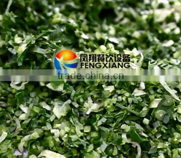 FC-306 Effective Vegetable Celery Cucumber Cutting Machine photo-3