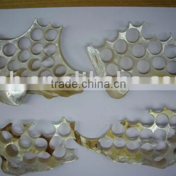 Cutted Shell Chips for Making Craftworks