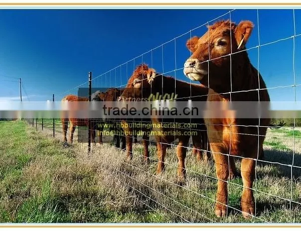 Automatic Welded Wire Mesh Knitting Machine photo-3