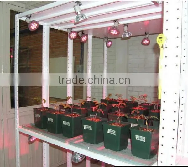 Online Led Lighting Shop Sell Lights Used to Grow Plants That Grow From Bulbs photo-5