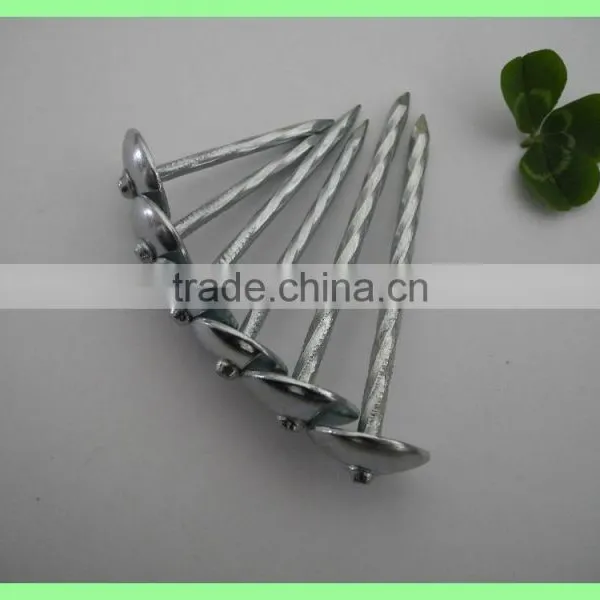 Kenya Umbrella Roofing Nails photo-2