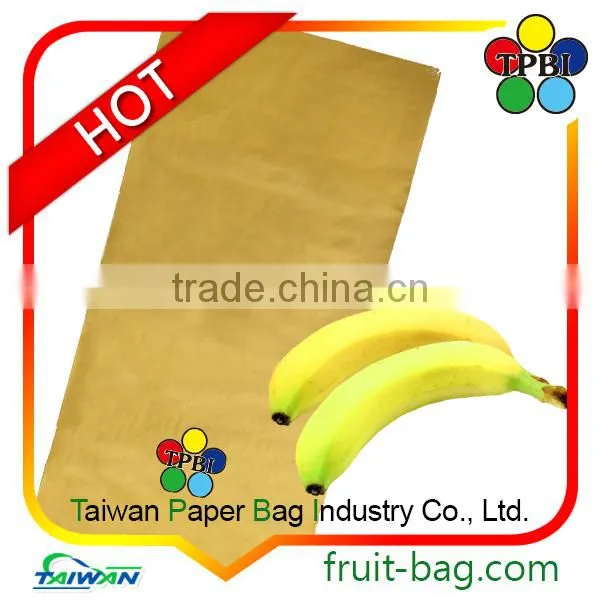 Vegetable Fruit Paper Bag Packing Mango Cover Manufacturer photo-6