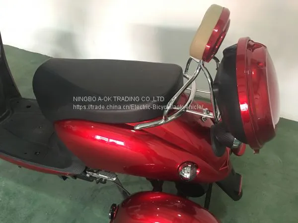 48V500W Electric Tricycle for Disabled People, 3 Wheel Electric Scooter Trike With Reverse Gear photo-4