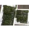 Salted Kelp Roll