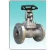 Forged Steel Gate Valve