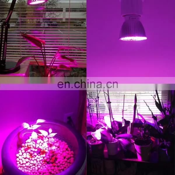 Factory Price 28W Full Spectrum E14 GU10 Mini LED Indoor Led Grow Lamp photo-6