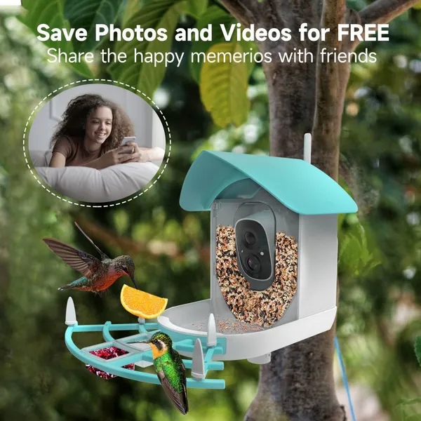 Ringsee 2.4 GHz Wi-Fi Smart Bird Feeder Camera Solar Charging 2.0MP HD Ip65 Weatherproof Network Camera for Outdoor Use photo-2