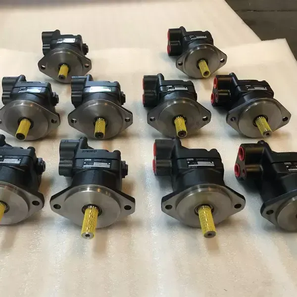 Double Vane Pump F11-SQP21-21-11-1DC-18 Injection Molding Machine F11 Oil Hydraulic Motor photo-5