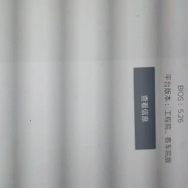 BYD's dedicated inspection unit, VDS2100, VDCI version 3.0.
