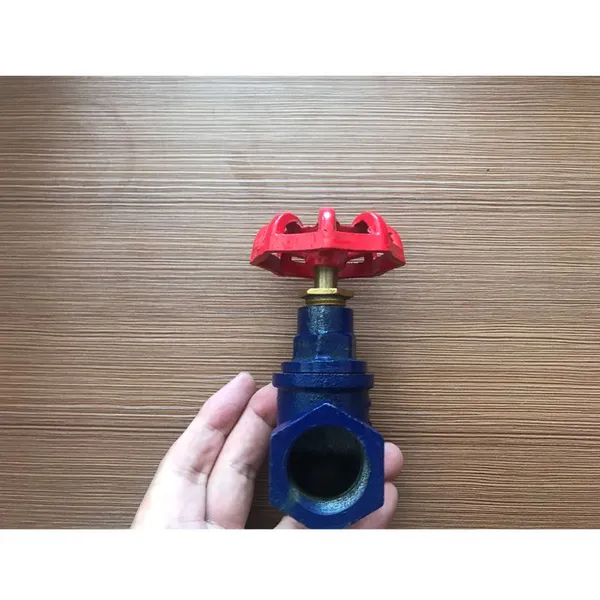 DIN Screw J11X-16 Soft Seal Globe Valve Cast Iron Manual Switch Low-Pressure Globe Valve photo-5