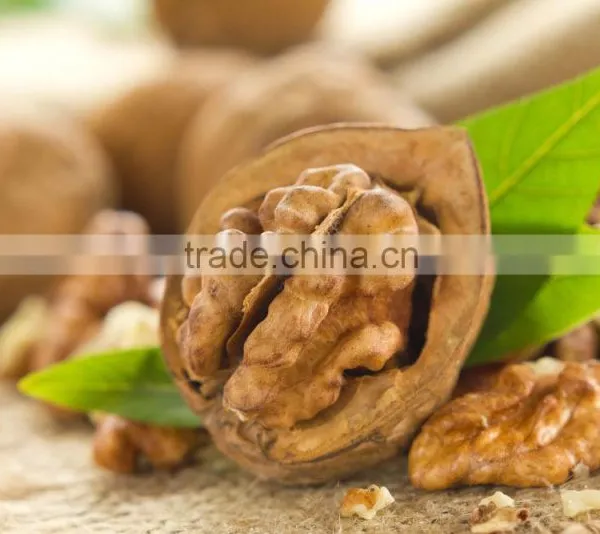 Hot Selling Walnut Kernel With Low Price