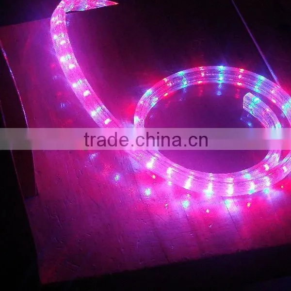 12V/24V/ 110/230v Color Changing LED Flat Rope Lights photo-3