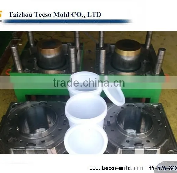 Plastic Paint Bucket Mould Manufacturer photo-6