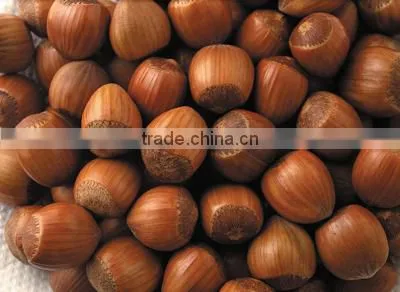100% Organic and Natural Hazelnuts photo-4