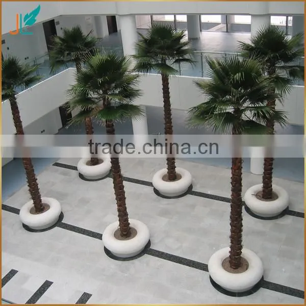 Indoor Preserved Washingtonia Palm Tree Fake Tropical Big Palm Tree photo-6