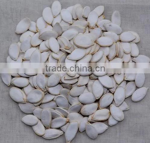 Snow White Pumpkin Seeds , Sesame Seed , Egussi Seed for Sale