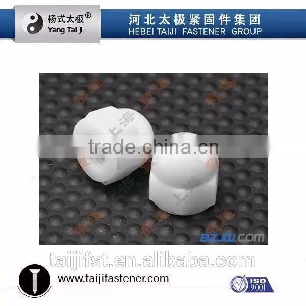 Decorative Bolt Caps photo-5