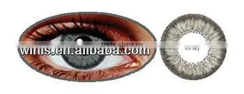 Wholesale Circle Lens Eclipse SM 15mm Korea Color Contact Lenses photo-5