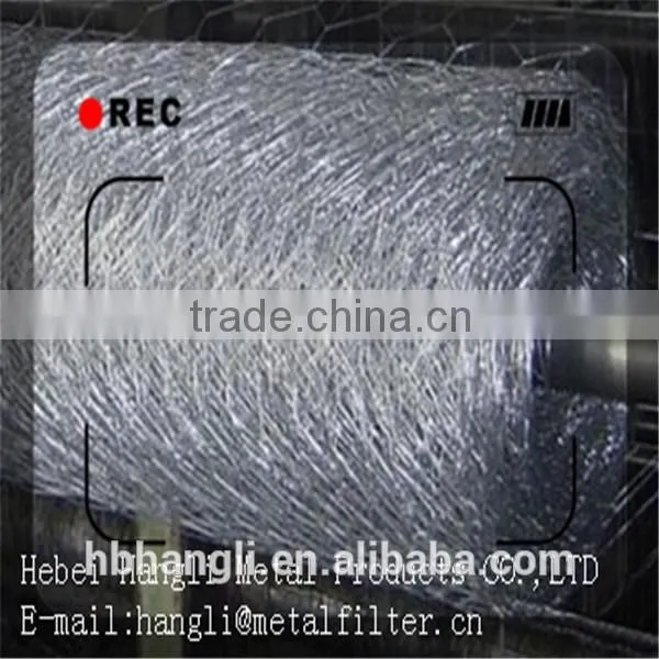 2015hot Sale China Supplier Low Price Stainless Steel Hexagonal Wire Netting photo-6