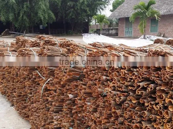 VIETNAM CASSIA / CINNAMON photo-4