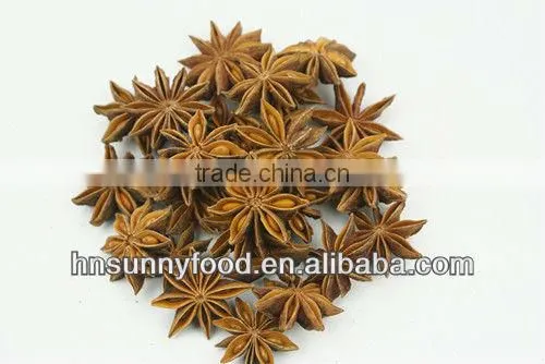 China Star Aniseed for Sale