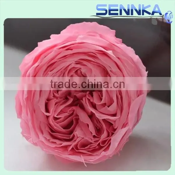 Valentine's Day Gifts Wholesale Preserved Roses Flower Austin Rose With Red,yellow,white,reen Color photo-3
