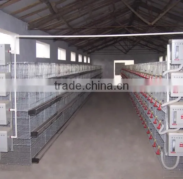 5 Tiers 144 Chicken Easy Clean Industrial Backyard Chicken Cage Coop House photo-3