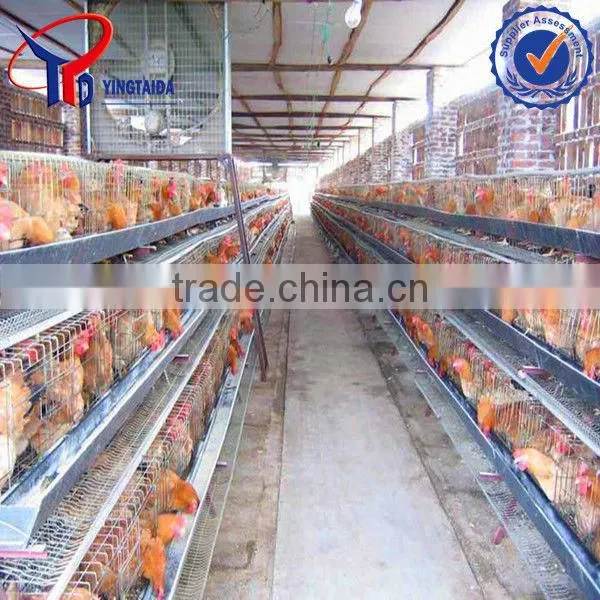 Chicken Feeding Cage Equipment
