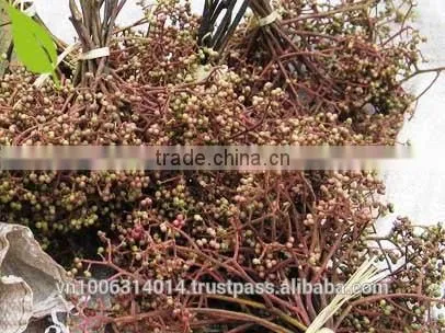 Zanthoxylum Rhetsa/Mac Khen photo-2