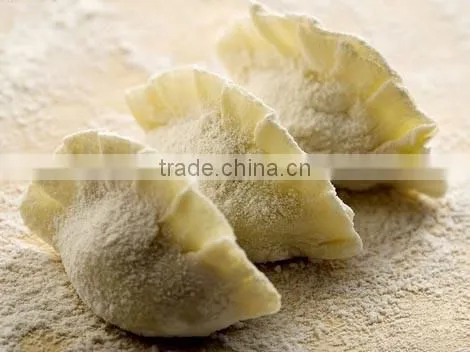 Light Weight Spring Roll/samosa/dumpling Making Machine photo-4