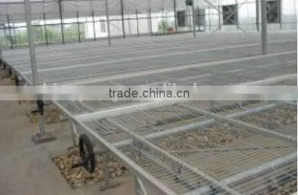 Young Plant Nursery photo-2