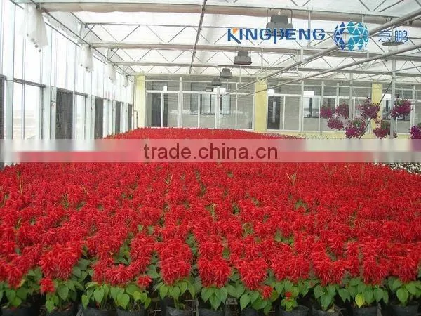 Flower Growing Greenhouse photo-3