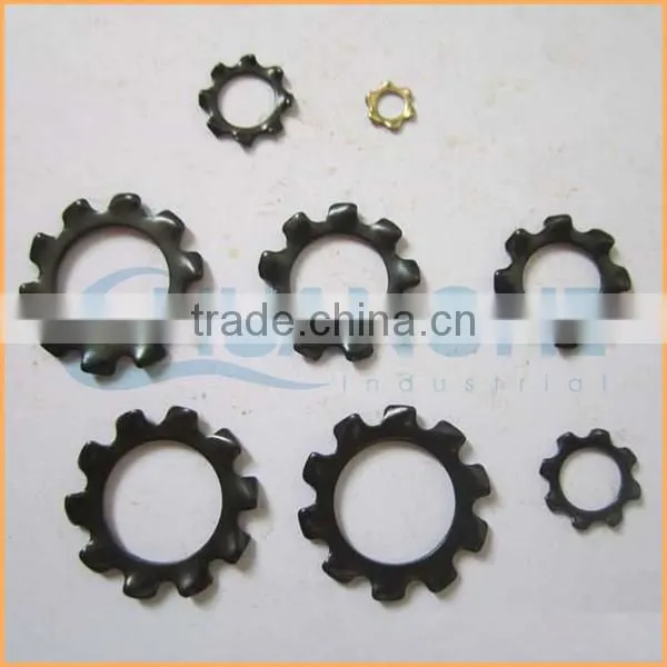 China Professional Manufacturing Ss304 Stainless Steel Serrated Lock Washer photo-6
