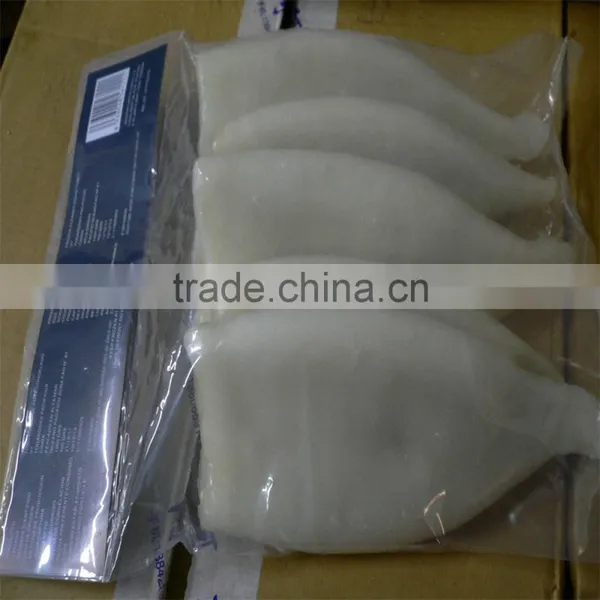 High Quality Pacific Squid Tube (Todarodes Pacificus) photo-6
