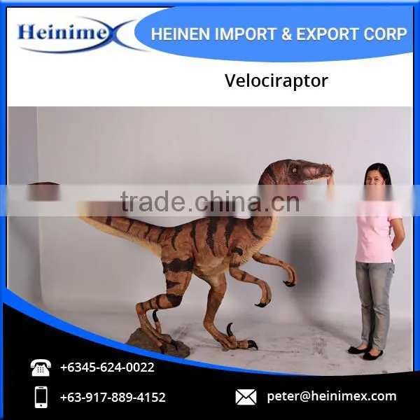 Realistic Dinosaur Velociraptor for Sale photo-4