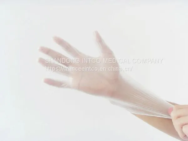 Vinyl Glove